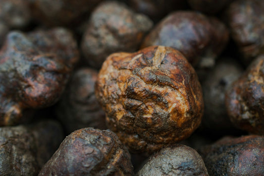 fresh truffles