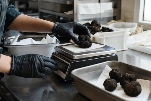 Truffle Product Selection for Retailers: A Practical Guide. Truffle Product Selection for Retailers: A Practical Guide. Retail buyer comparing fresh, dried and prepared truffle for