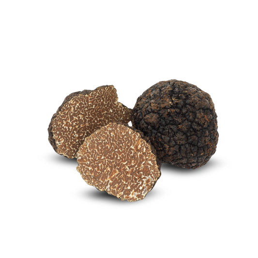 Black Autumn Truffle (Tuber uncinatum)