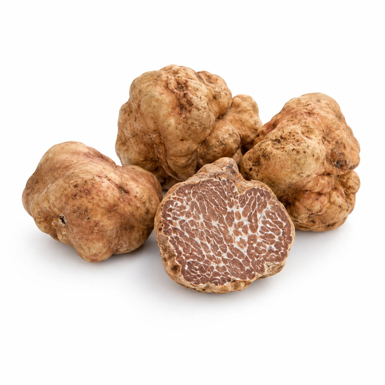 Bianchetto-tryffeli – Tuber borchii