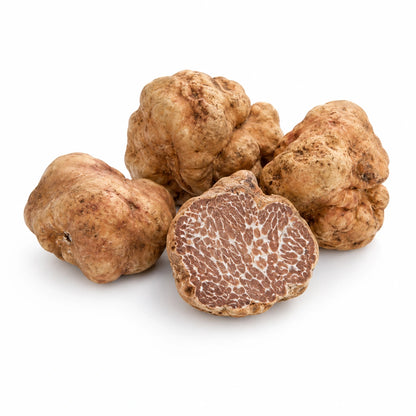 Bianchetto-tryffeli – Tuber borchii