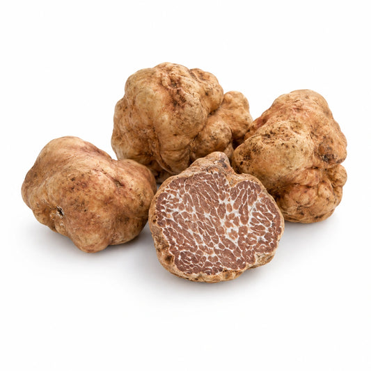 Bianchetto-Trüffel – Tuber borchii