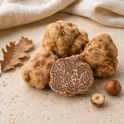 Bianchetto-tryffeli – Tuber borchii