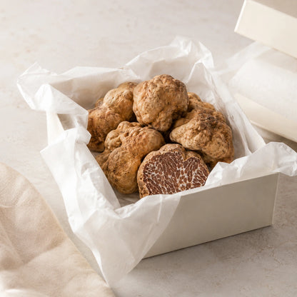 Bianchetto-tryffeli – Tuber borchii