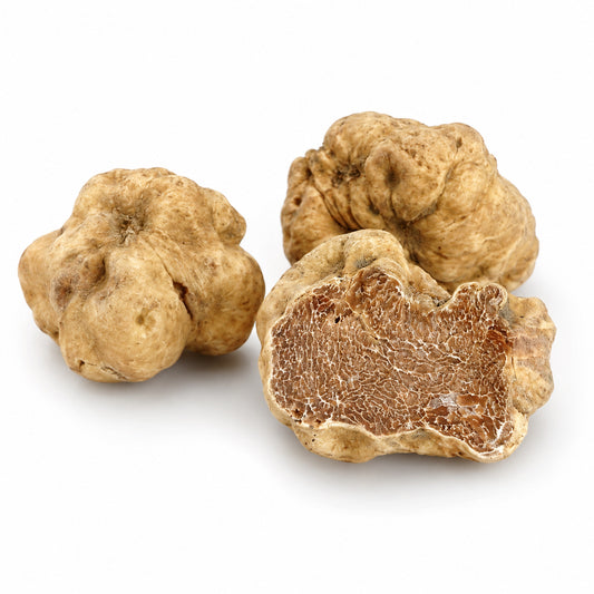 Feine Weiße Trüffel (Tuber magnatum Pico)