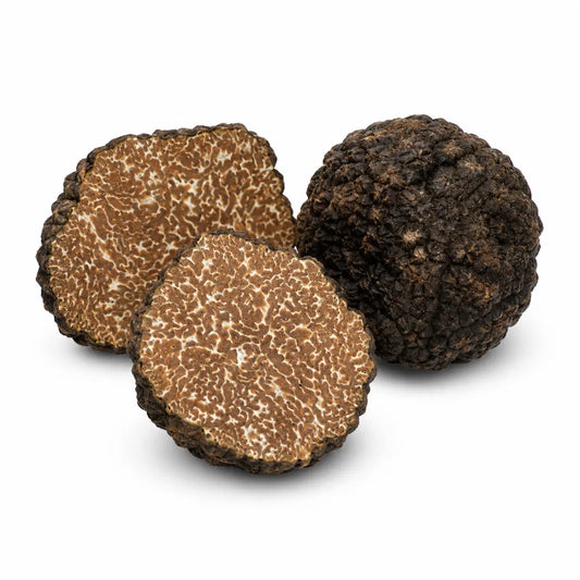 Schwarzer Herbsttrüffel (Tuber uncinatum)