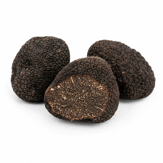 Bianchetto-Trüffel – Tuber borchii