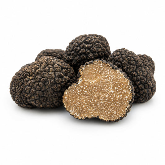 Sommer-Schwarzer Trüffel (Tuber aestivum)