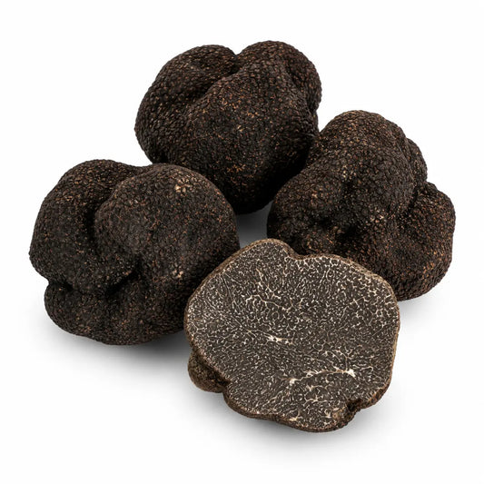 Winter Schwarzer Trüffel (Tuber Melanosporum)