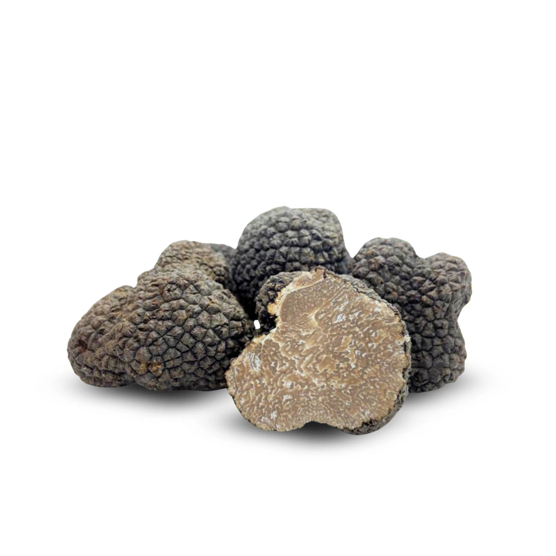 Truffe noire d'été (Tuber aestivum)